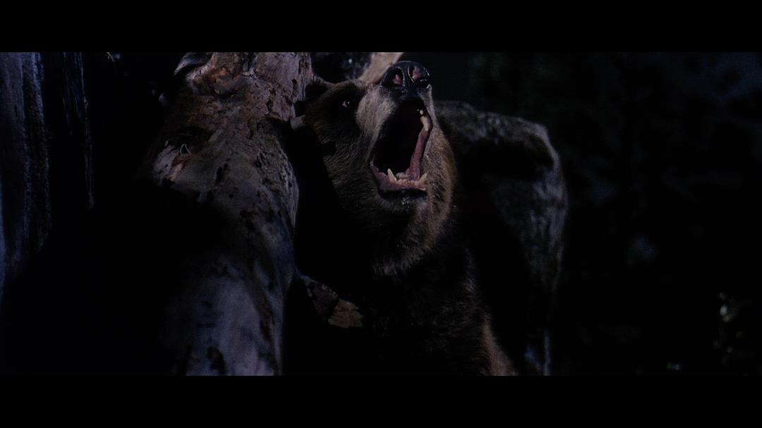 电影《熊山恩仇记  The Night of the Grizzly》（1966美国）--高清4K/1080P迅雷BT资源下载