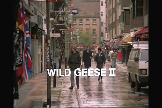 电影《野鹅敢死队2  Wild Geese II》（1985英国 / 澳大利亚）--高清4K/1080P迅雷BT资源下载