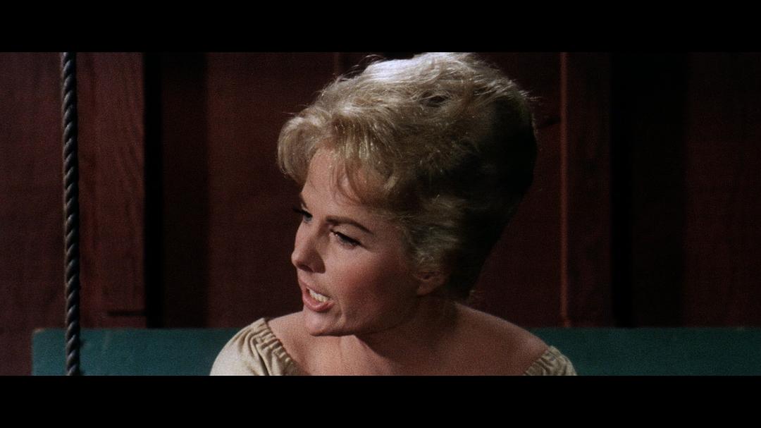 电影《熊山恩仇记  The Night of the Grizzly》（1966美国）--高清4K/1080P迅雷BT资源下载