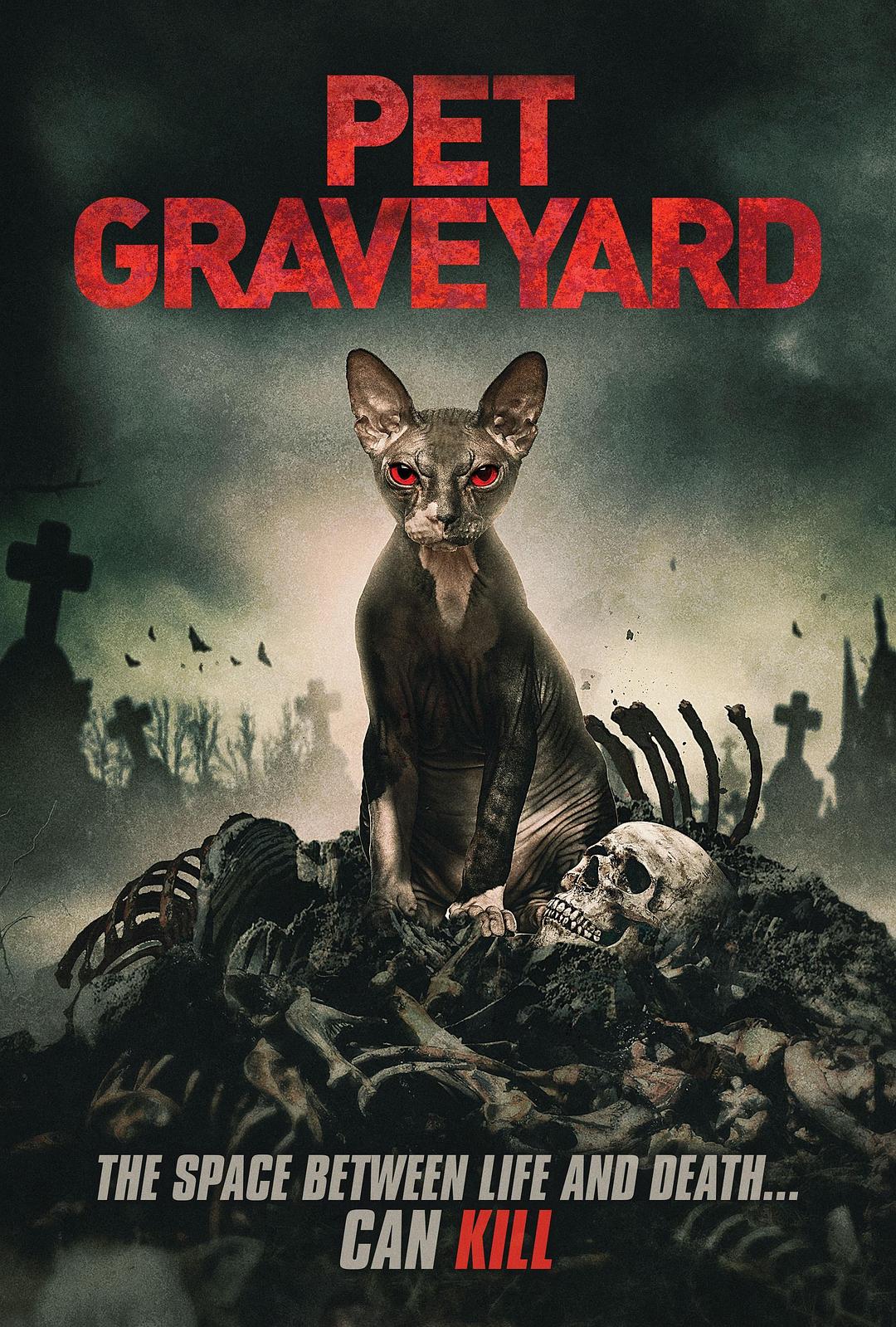 电影《宠物坟墓  Pet Graveyard》（2019美国）--高清4K/1080P迅雷BT资源下载