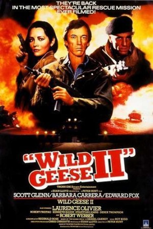 电影《野鹅敢死队2  Wild Geese II》（1985英国 / 澳大利亚）--高清4K/1080P迅雷BT资源下载
