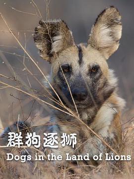 纪录片《群狗逐狮  Dogs in the Land of Lions》（2018美国）--高清4K/1080P迅雷BT资源下载