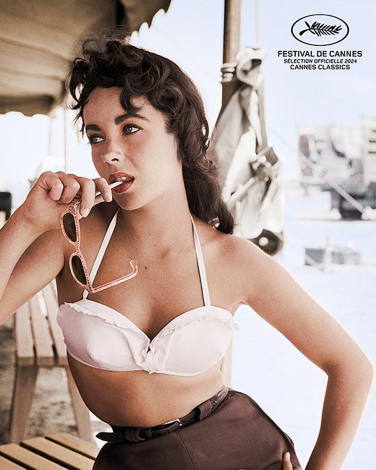 纪录片《伊丽莎白·泰勒：遗失的录音带  Elizabeth Taylor: The Lost Tapes》（2024美国）--高清4K/1080P迅雷BT资源下载