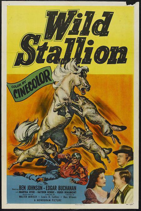 纪录片《翠谷银驹  Wild Stallion》（1952美国）--高清4K/1080P迅雷BT资源下载