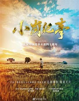 电视剧《小岗纪事》（2018中国大陆）--高清4K/1080P迅雷BT资源下载