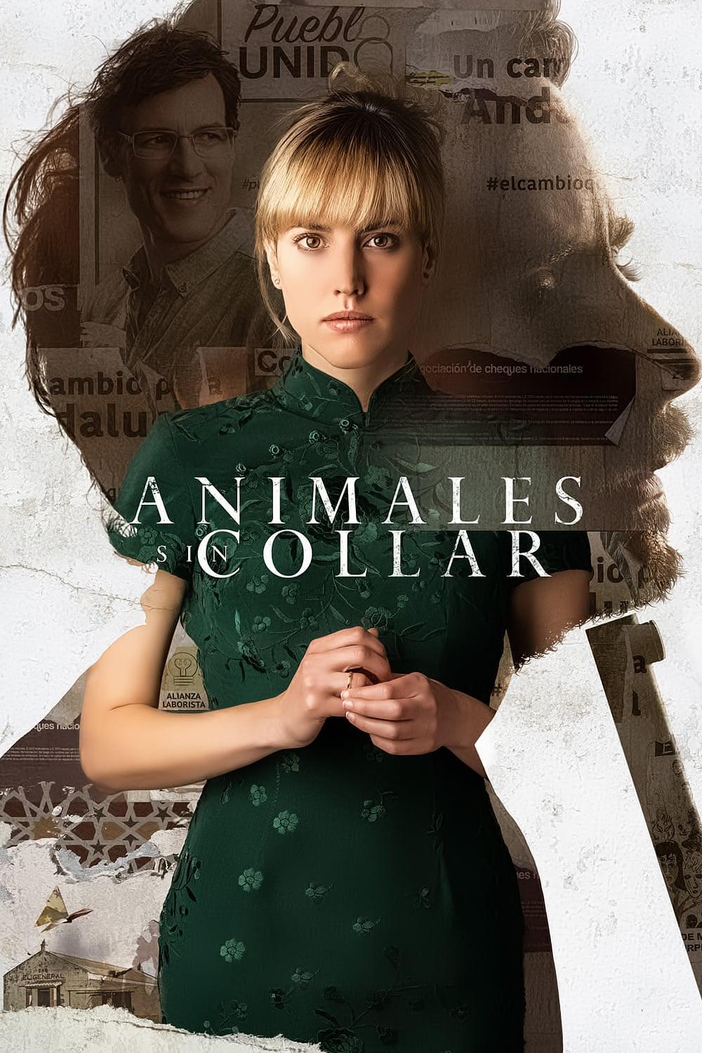 电影《Animales sin collar》（2018西班牙）--高清4K/1080P迅雷BT资源下载