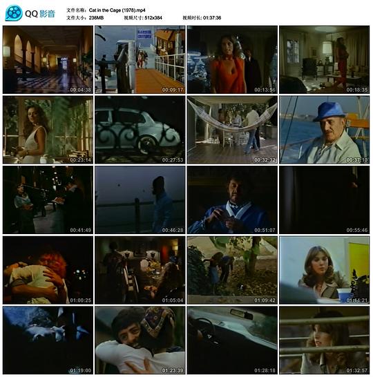 电影《Cat in the Cage》（1978美国）--高清4K/1080P迅雷BT资源下载