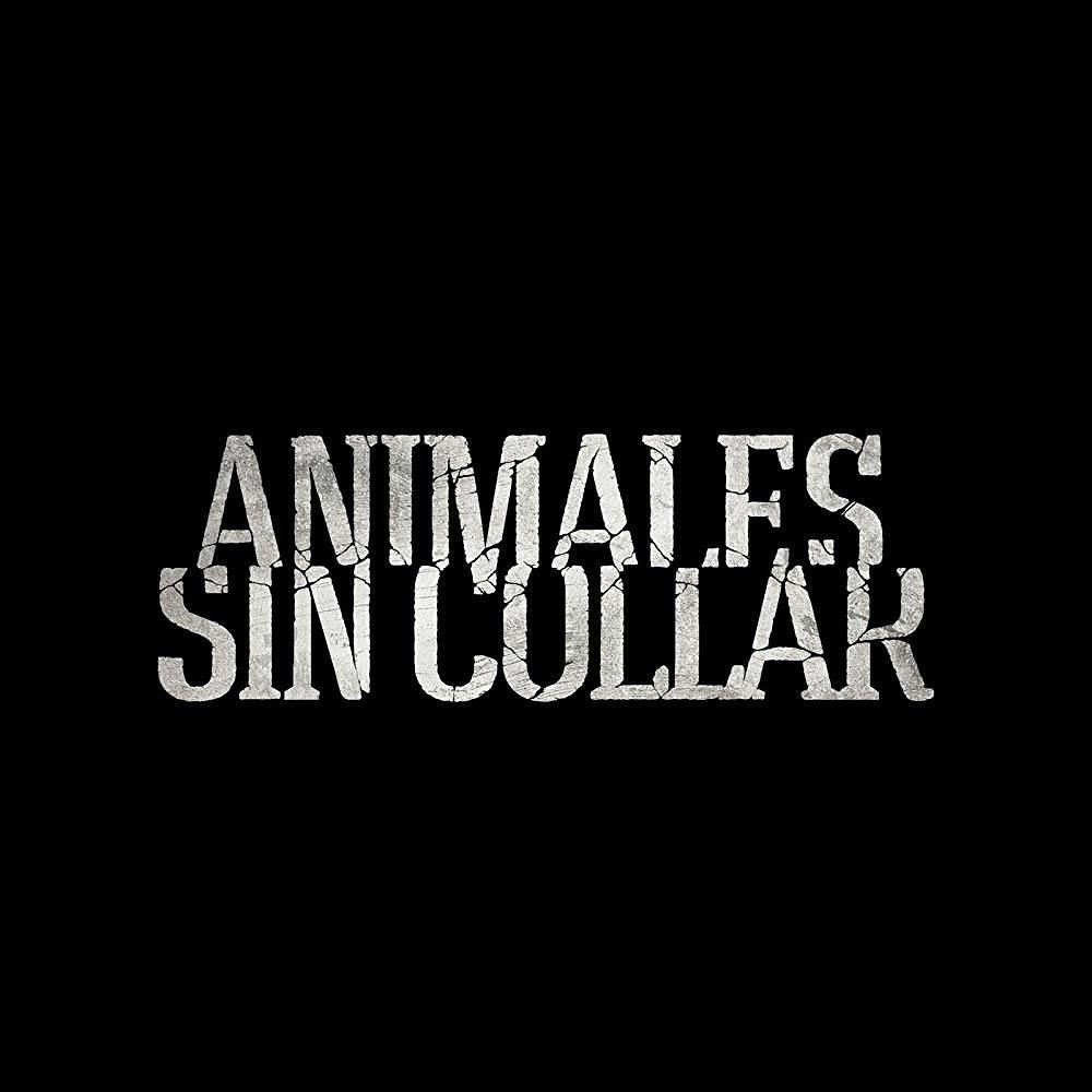 电影《Animales sin collar》（2018西班牙）--高清4K/1080P迅雷BT资源下载