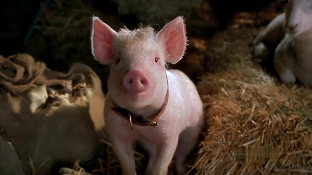 电影《小猪宝贝2:小猪进城 Babe: Pig in the City》(1998澳大利亚)--高清4K/1080P迅雷BT资源下载 电影《小猪宝贝2:小猪进城 Babe: Pig in the City》(1998澳大利亚)--高清4K/1080P迅雷BT资源下载