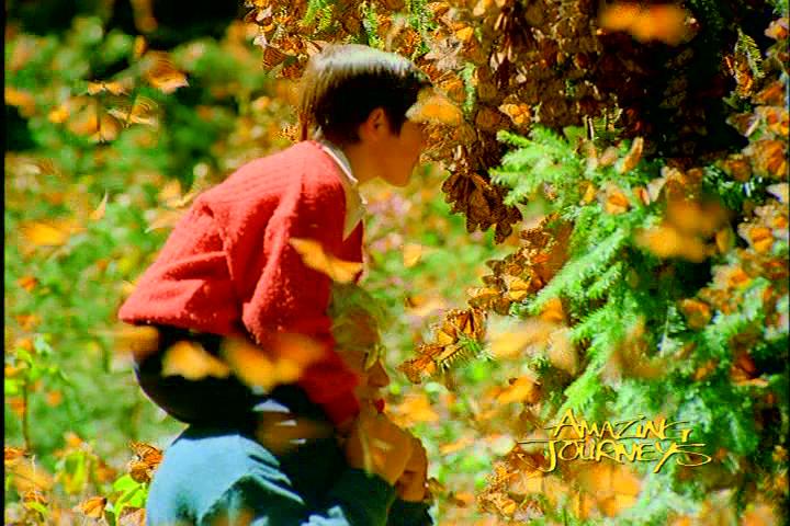 电影短片《奇异的旅程  Amazing Journeys》（1999美国）--高清4K/1080P迅雷BT资源下载