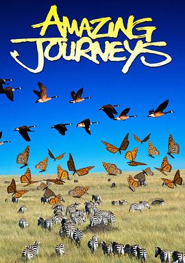 电影短片《奇异的旅程  Amazing Journeys》（1999美国）--高清4K/1080P迅雷BT资源下载