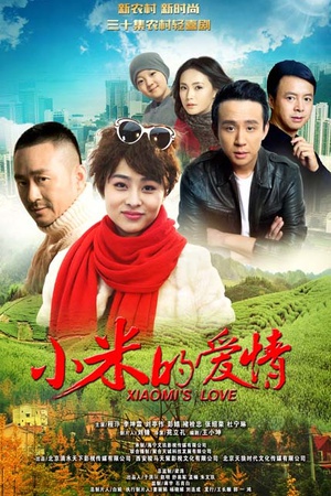 电视剧《小米的爱情》（2016中国大陆）--高清4K/1080P迅雷BT资源下载