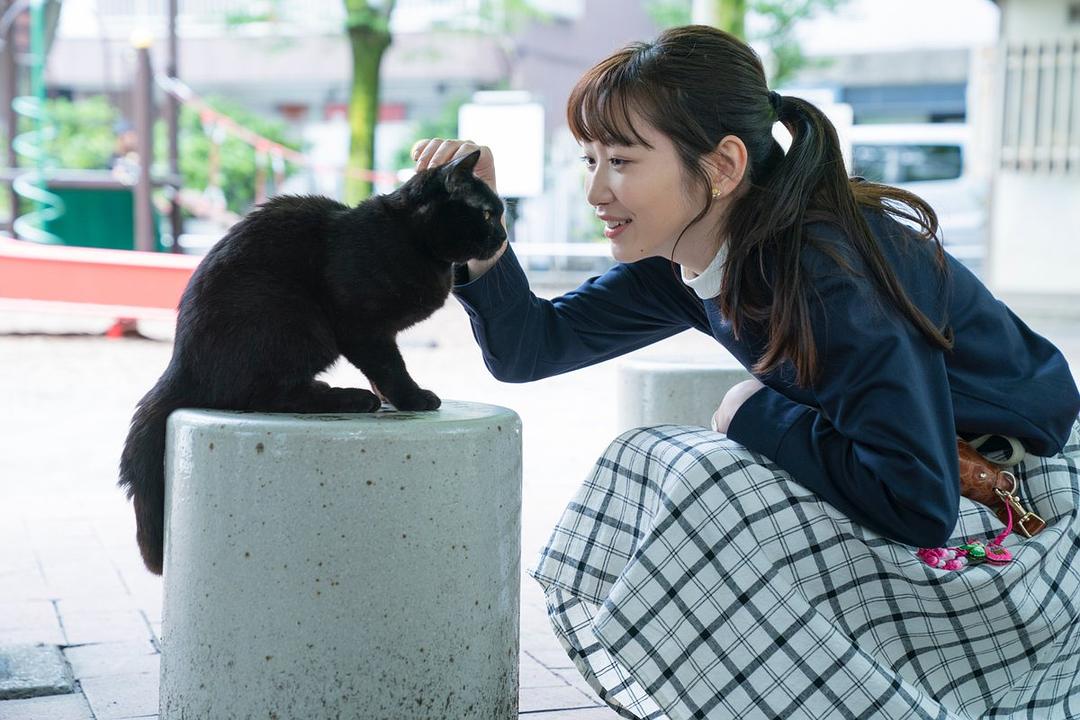 电视剧《银座黑猫物语  銀座黒猫物語》（2020日本）--高清4K/1080P迅雷BT资源下载