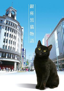 电视剧《银座黑猫物语  銀座黒猫物語》（2020日本）--高清4K/1080P迅雷BT资源下载