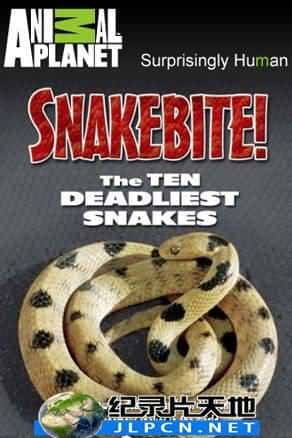 [Animal Planet] 《马文探毒蛇》Ten Deadliest Snakes- 动物纪录片1080P/720P/360P高清标清网盘迅雷下载