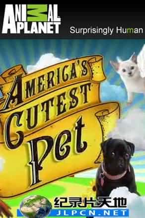 [Animal Planet] 《全美宠物我最Q》America 's Cutest Pet- 宠物纪录片1080P/720P/360P高清标清网盘迅雷下载