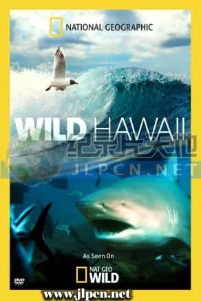 [National Geographic] 《野性夏威夷》Wild Hawaii- 岛屿纪录片1080P/720P/360P高清标清网盘迅雷下载