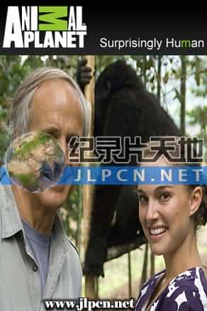 [Discovery Travel &amp; Living] 《娜塔莉波曼为大猩猩请命》Saving A Species : Gorillas On The Brink- 动物纪录片1080P/720P/360P高清标清网盘迅雷下载