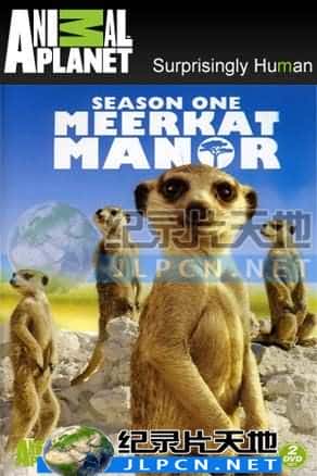 [Animal Planet] 《狐獴大宅门》Meerkat Manor- 动物纪录片1080P/720P/360P高清标清网盘迅雷下载