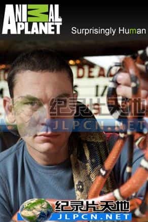 [Animal Planet] 《荒野先锋》- 动物纪录片1080P/720P/360P高清标清网盘迅雷下载
