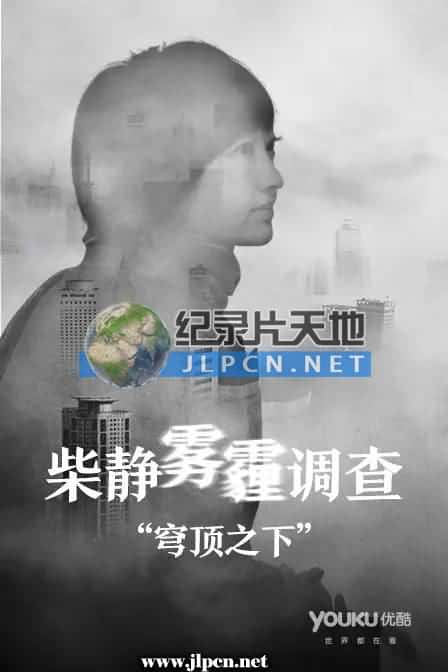 [其他频道] 《柴静空气质量调查：穹顶之下》- 灾难纪录片1080P/720P/360P高清标清网盘迅雷下载