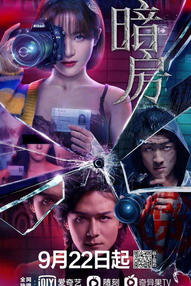 [2021][大陆][剧情]《暗房》[4K][1080P][迅雷BT][资源下载]