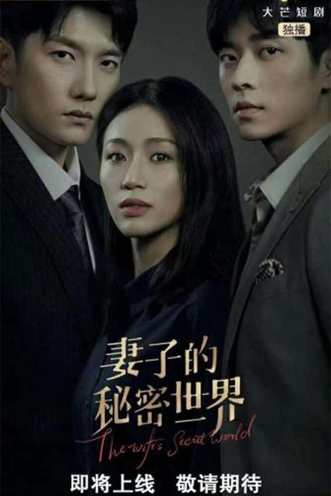 [2022][大陆][悬疑]《妻子的秘密世界》[4K][1080P][迅雷BT][资源下载]