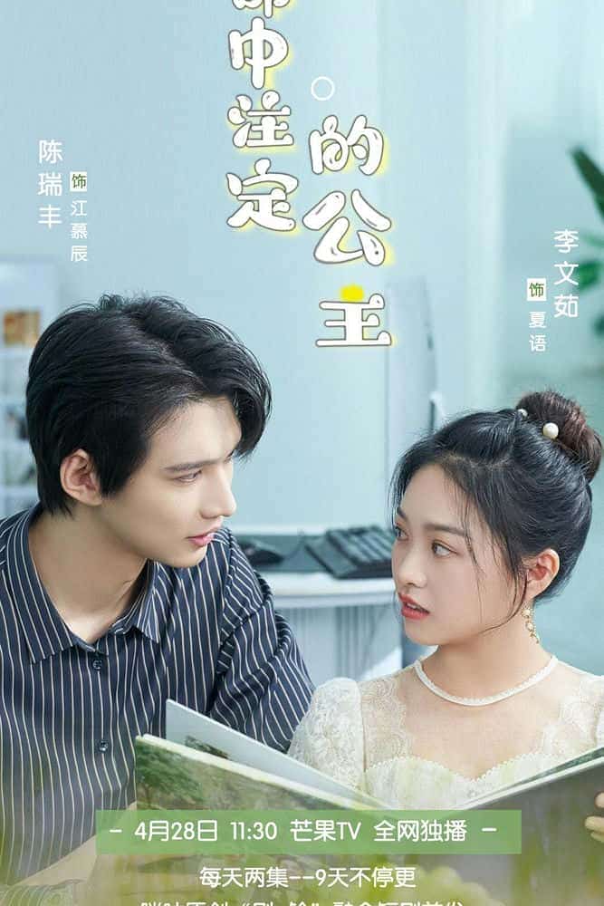 [2023][大陆][剧情]《命中注定的公主》[4K][1080P][迅雷BT][资源下载]