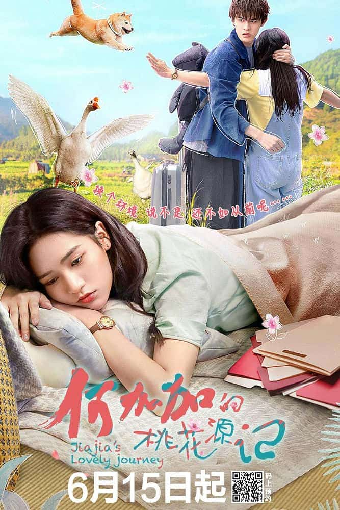[2022][大陆][剧情]《何加加的桃花源记》[4K][1080P][迅雷BT][资源下载]