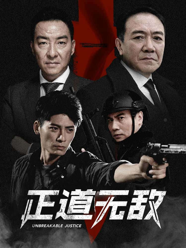 [2020][大陆][剧情]《正道无敌》[4K][1080P][迅雷BT][资源下载]