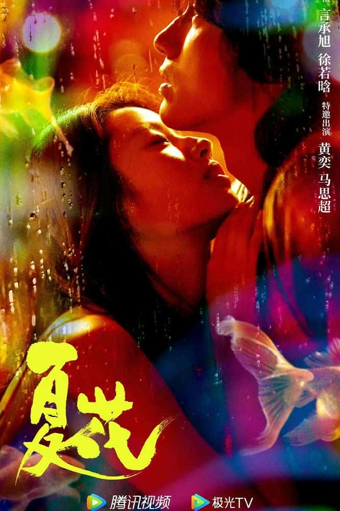 [2023][大陆][剧情]《夏花》[4K][1080P][迅雷BT][资源下载]