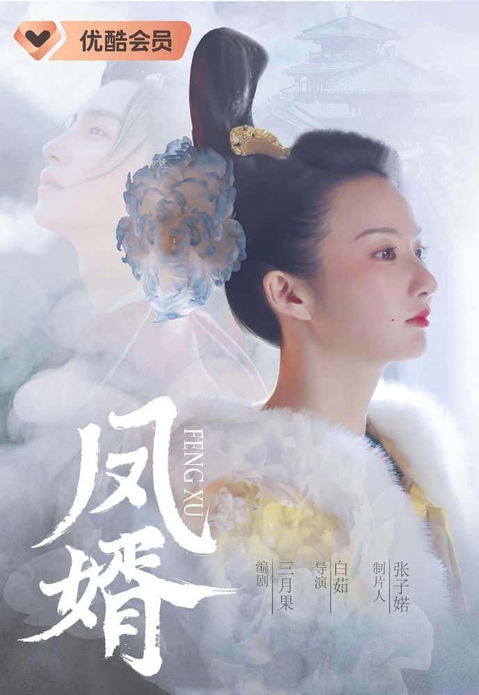 [2023][大陆][爱情]《凤婿》[4K][1080P][迅雷BT][资源下载]