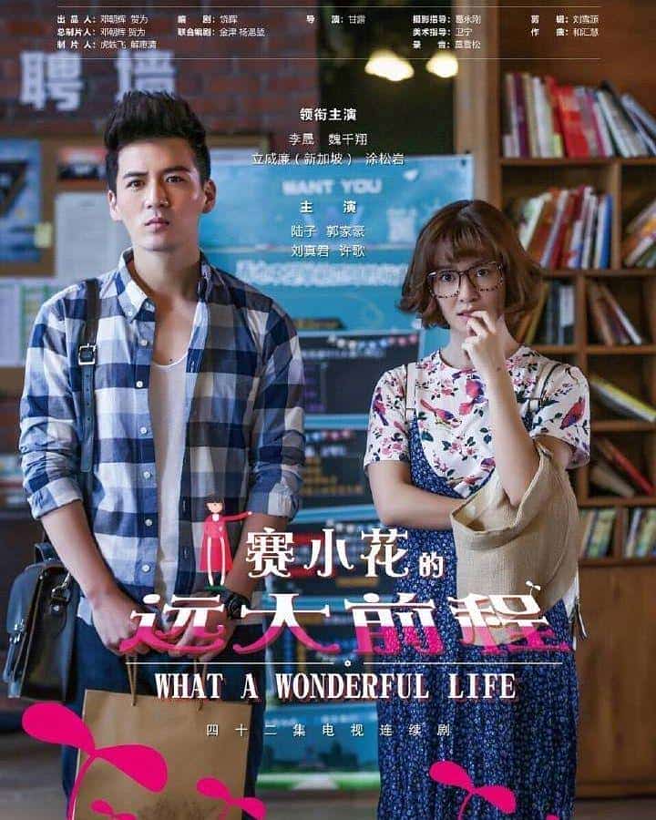 [2017][大陆][剧情]《赛小花的远大前程》[4K][1080P][迅雷BT][资源下载]