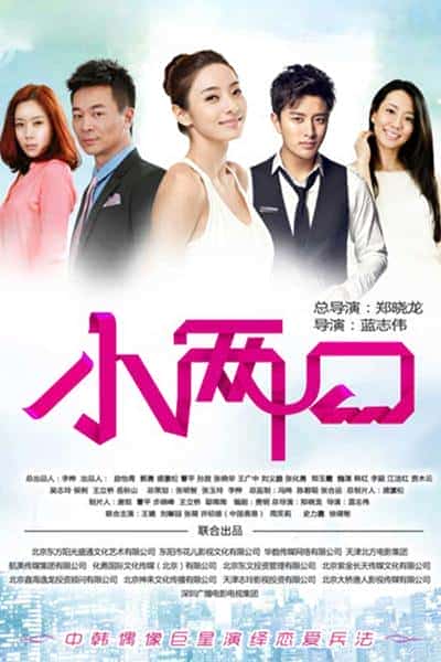 [2013][大陆][爱情]《小两口》[4K][1080P][迅雷BT][资源下载]