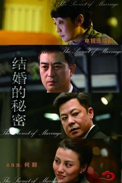 [2014][大陆][剧情]《结婚的秘密》[4K][1080P][迅雷BT][资源下载]