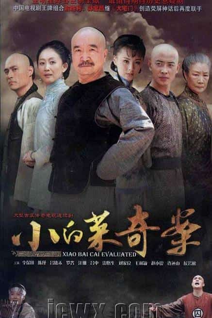[2012][大陆][剧情]《小白菜奇案》[4K][1080P][迅雷BT][资源下载]