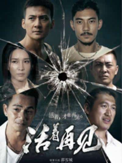 [2015][大陆][剧情]《活着再见》[4K][1080P][迅雷BT][资源下载]
