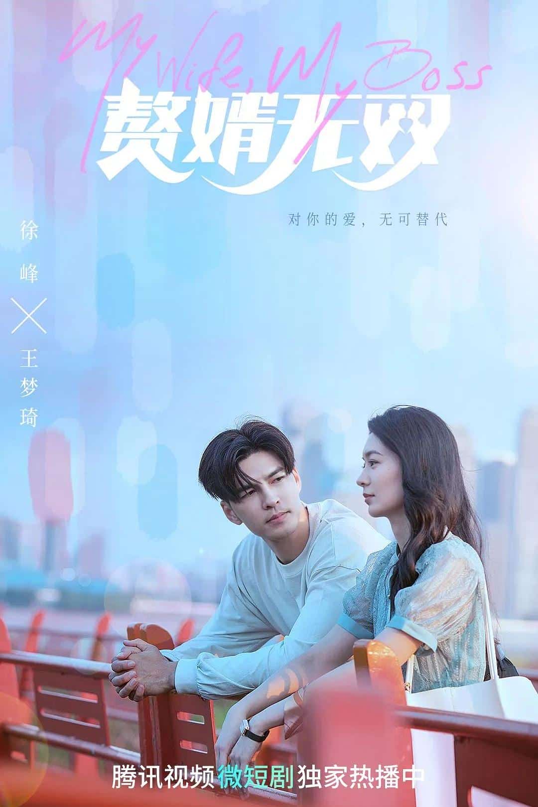 [2023][大陆][剧情]《赘婿无双》[4K][1080P][迅雷BT][资源下载]