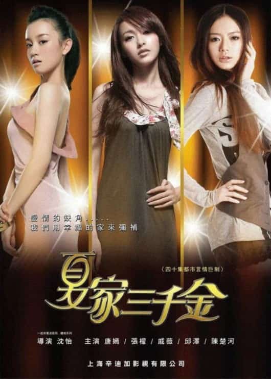 [2011][大陆][剧情]《夏家三千金》[4K][1080P][迅雷BT][资源下载]