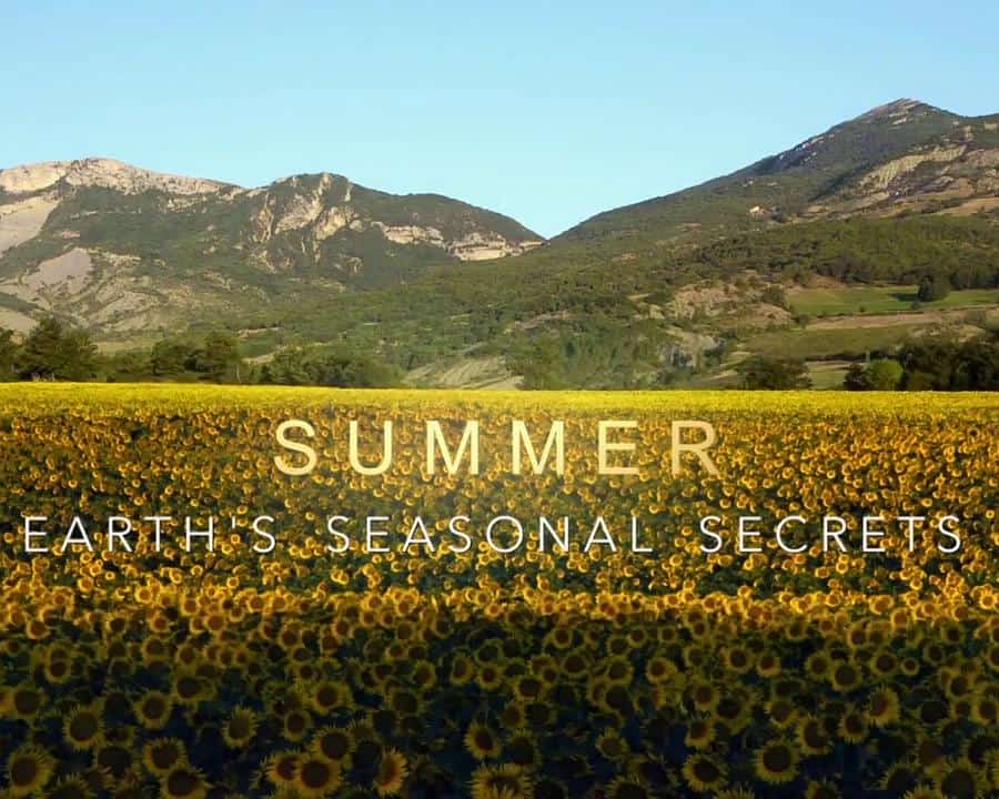 [2016][英国][纪录]《地球季节秘密》[4K][1080P][迅雷BT][资源下载]