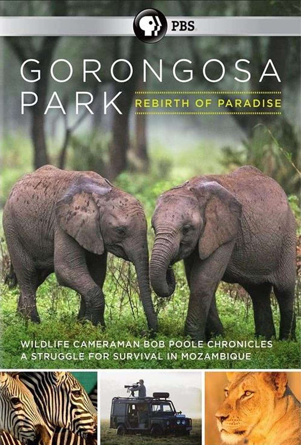 [2015][美国][纪录]《Gorongosa Park: Rebirth of Paradise》[4K][1080P][迅雷BT][资源下载]