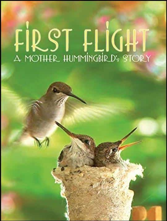 [2009][美国][纪录]《First Flight: A Mother Hummingbird&amp;amp;#039;s Story》[4K][1080P][迅雷BT][资源下载]