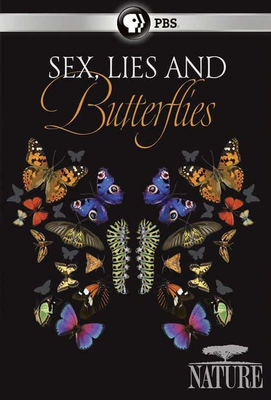 [2018][美国][纪录]《Sex, Lies and Butterflies》[4K][1080P][迅雷BT][资源下载]