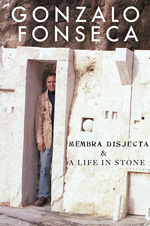 [2019][美国][纪录]《Gonzalo Fonseca: Membra Disjecta &amp; A Life in Stone》[4K][1080P][迅雷BT][资源下载]