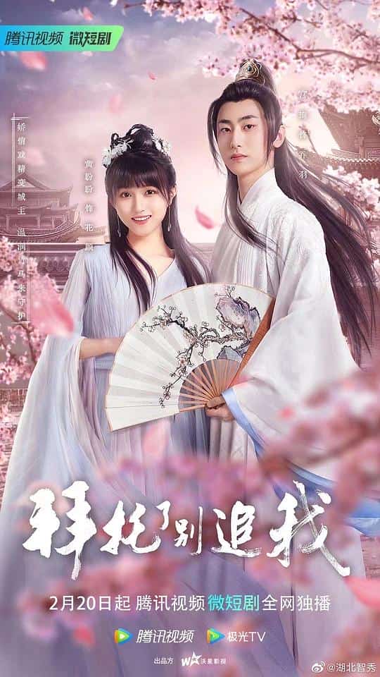 [2023][大陆][剧情]《拜托了，别追我》[4K][1080P][迅雷BT][资源下载]