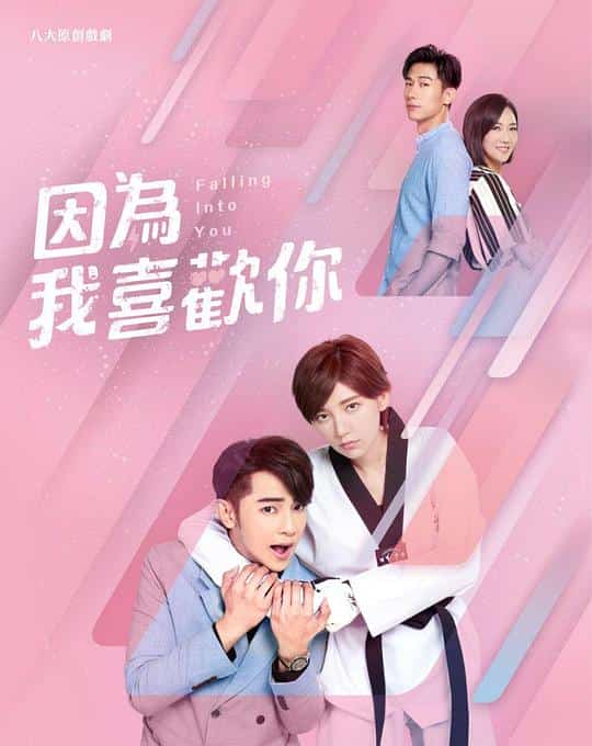 [2020][台湾][爱情]《因为我喜欢你》[4K][1080P][迅雷BT][资源下载]