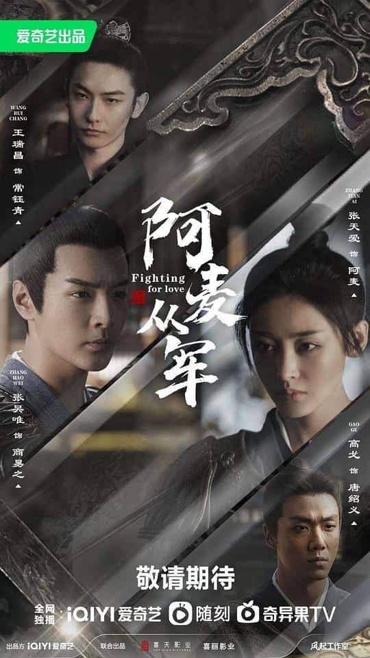 [2024][中国大陆][爱情]《阿麦从军》[4K][1080P][迅雷BT][资源下载]