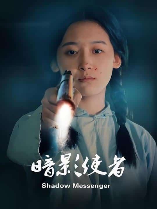 [2024][大陆][剧情]《暗影使者》[4K][1080P][迅雷BT][资源下载]