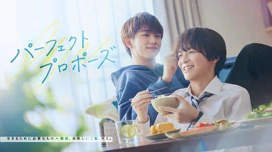 [2024][日本][剧情]《完美求婚》[4K][1080P][迅雷BT][资源下载]