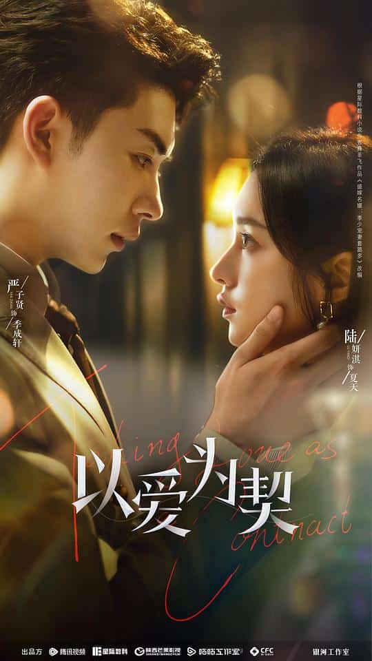 [2024][大陆][剧情]《以爱为契》[4K][1080P][迅雷BT][资源下载]
